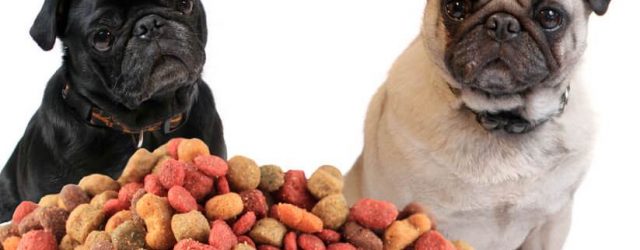 test af hundefoder