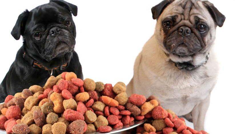 test af hundefoder