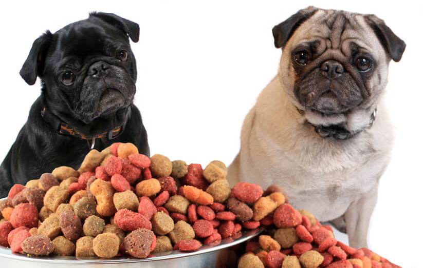 olivers hundefoder test olivers hundefoder test