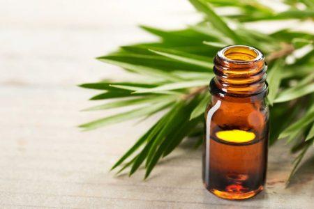 tea tree oil guide og anvendelse