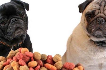 test af hundefoder mad