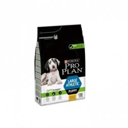proplan